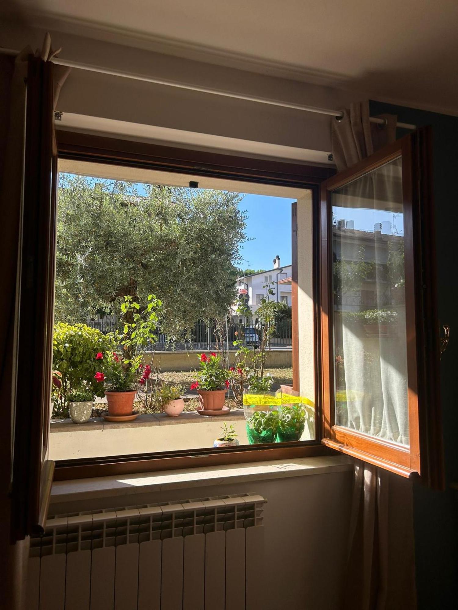 A Casa Di Francesco Lejlighed Santa Maria Degli Angeli  Eksteriør billede